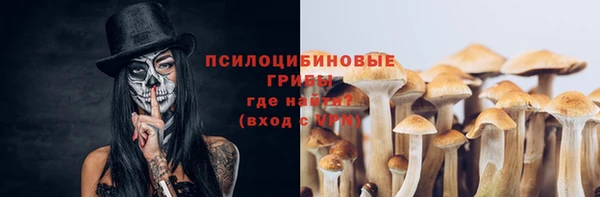 сатива Алзамай