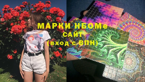 сатива Алзамай