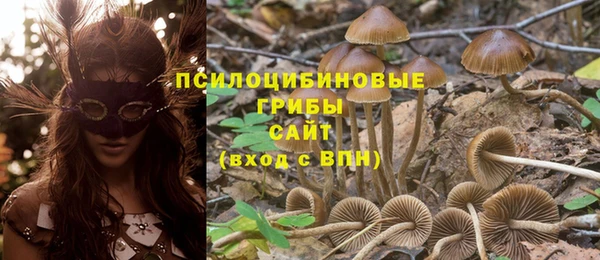сатива Алзамай