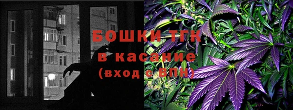 сатива Алзамай