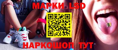 эйфоретик Берёзовский
