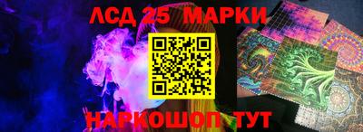 эйфоретик Берёзовский