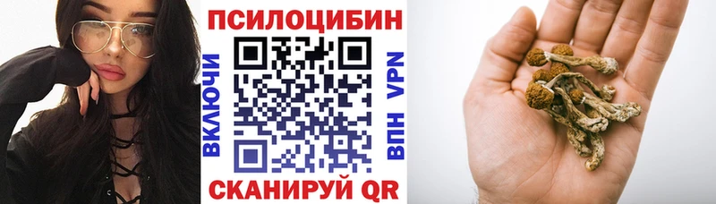Галлюциногенные грибы мицелий купить наркотики сайты Калач-на-Дону