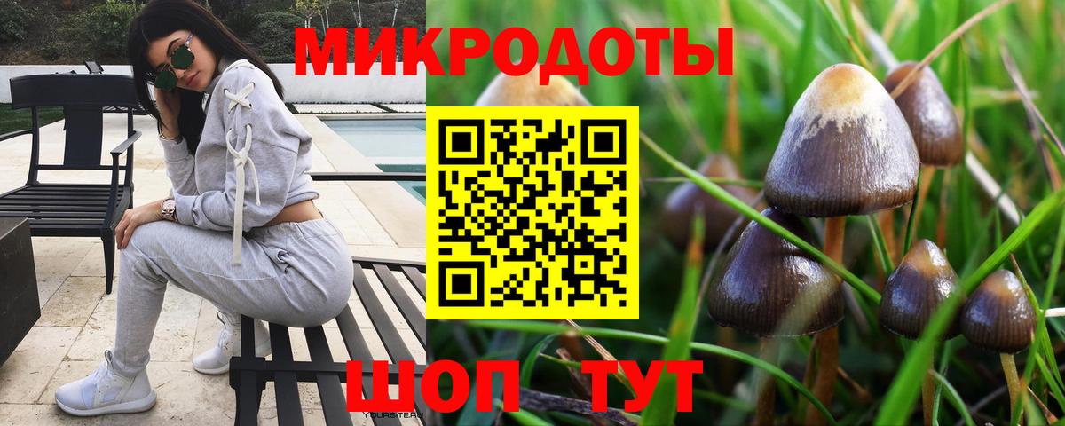 Галлюциногенные грибы Cubensis Калач-на-Дону