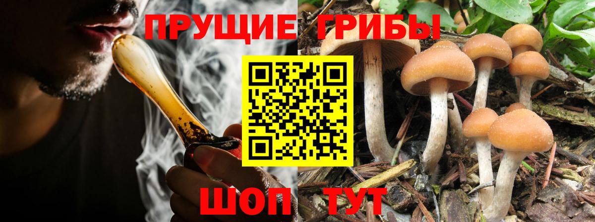 Калач-на-Дону  Псилоцибиновые грибы ЛСД  Вход с VPN 